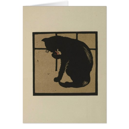 Cat Licking its Paws Cards (Front)