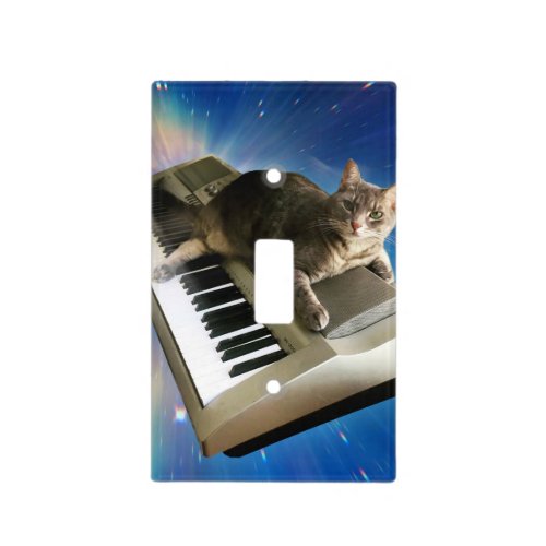 Cat lies on the keyboard light switch cover