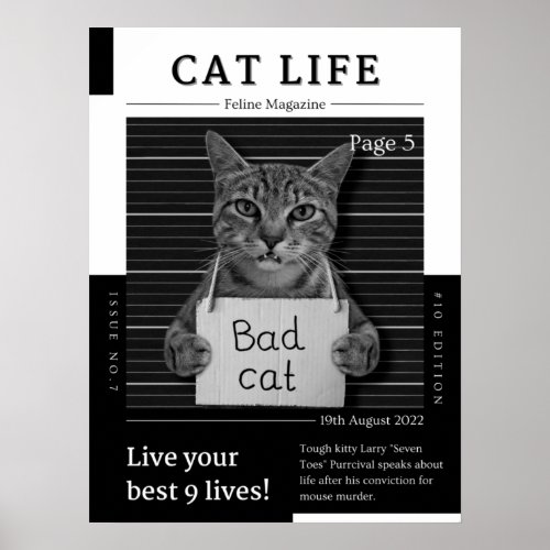 CAT LIFE Magazine Poster