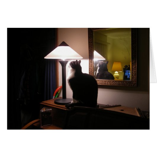 Cat Light Card (Front Horizontal)