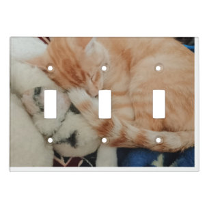 Cat light switch cover