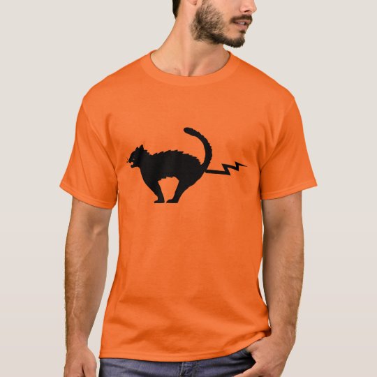 cat with lightning shirt