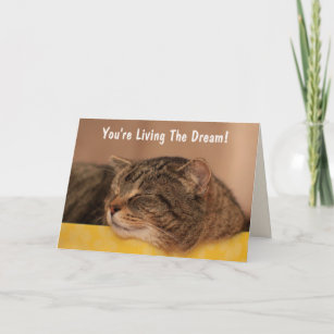 Cat Living The Dream Birthday Card