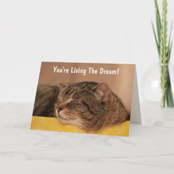 Cat Living The Dream Birthday Card by Therupieshop at Zazzle