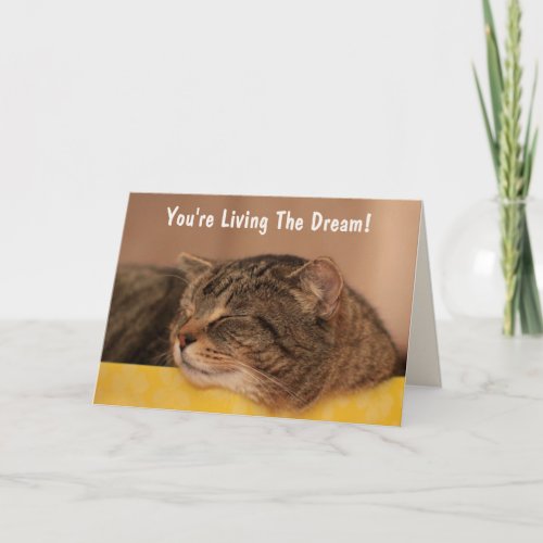 Cat Living The Dream Birthday Card