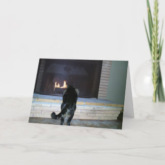 Cat looking at fireplace holiday card