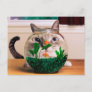 Cat looking at fish in aquarium postcard