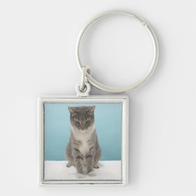 Cat looking at toy mouse on rug keychain (Front)