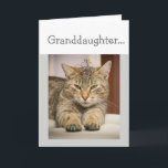 Cat Looking Good Granddaughter Birthday Fun Animal Card<br><div class="desc">It's your Granddaughter. Birthday Celebrate any way you want with a funny cat wearing a tiara and with nails done.  If your Granddaughter loves humor and animals especially cats this is the birthday card for you</div>