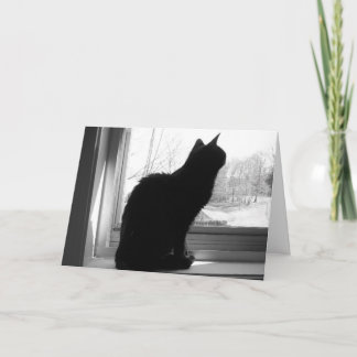 Cat Looking Out Card