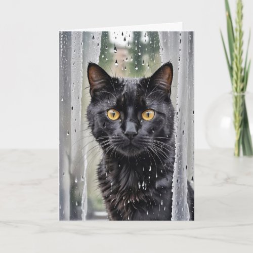 Cat Looking Out of a Wet Window Card
