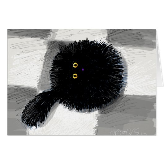 cat looking up cards (Front Horizontal)