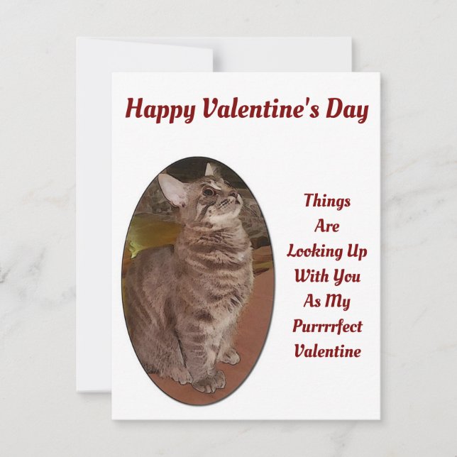 Cat Looking Up Digital Picture Valentine Quote Note Card (Front)