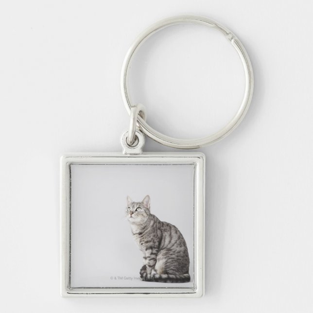 Cat looking up keychain (Front)