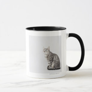 Cat looking up mug