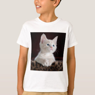 cat looks' shirt