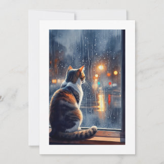 cat looks the rain invitation