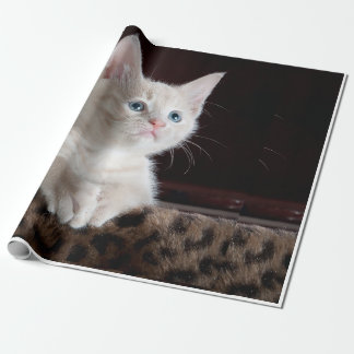 cat looks wrapping paper