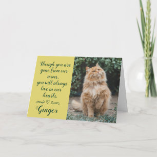 Cat Loss Sympathy Card Personalized Photo Pet Name