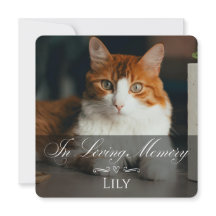 Cat Loss Sympathy Card with Pet Photo & Name Black