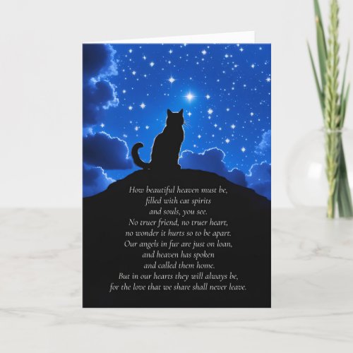 Cat Loss Sympathy with Cat Looking into Heavens Card