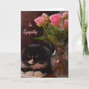 Cat Loss Sympathy with Pink Roses Card