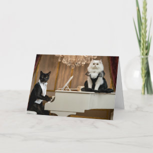 Cat Lounge Duo Card