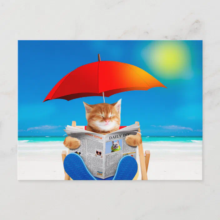 Adorable Kitten Cat Relaxing Beach Ocean Sunglasses Birthday Greeting Card NEW
