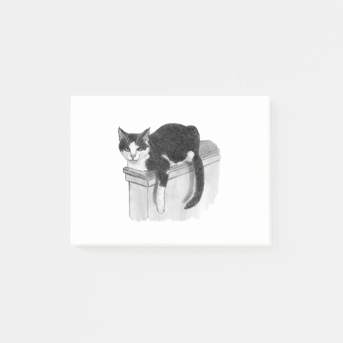 Cat Lounging on Ledge Black and White Cat Post_it Notes