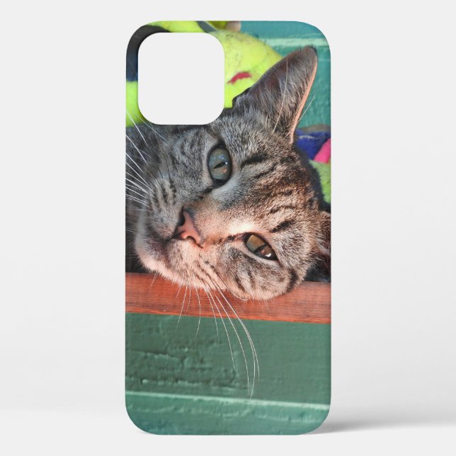 Cat Love  Case-Mate iPhone Case (Back)