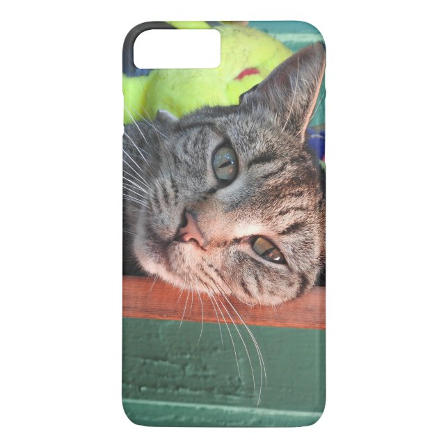 Cat Love Case-Mate iPhone Case (Back)