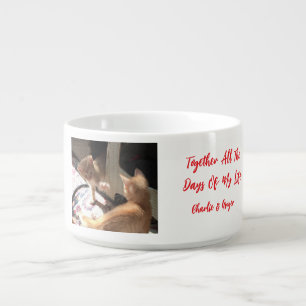 cat love , ginger cats photo , humor text, bowl