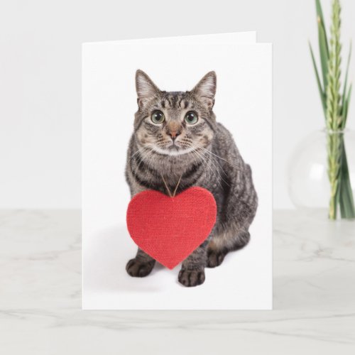 Cat Love Holiday Card