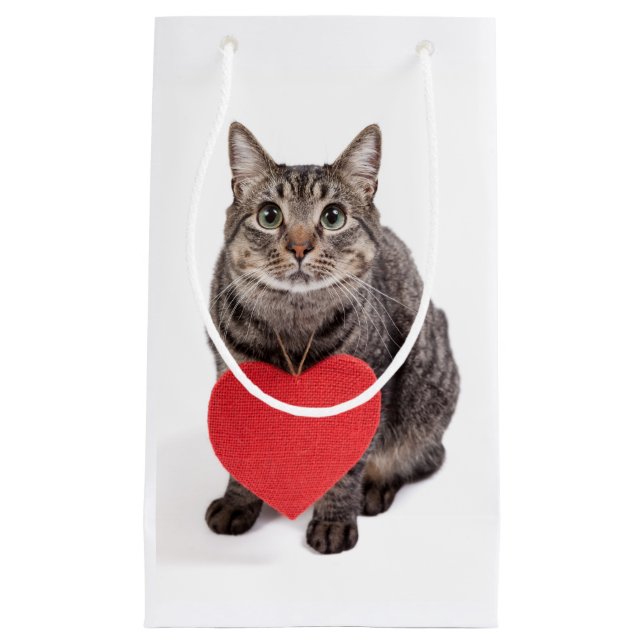 Cat Love Small Gift Bag (Front)