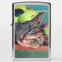 Cat Love Zippo Lighter