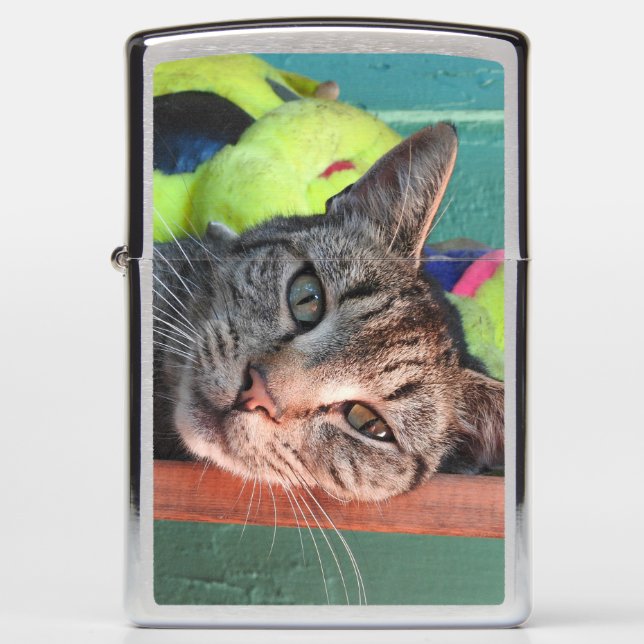 Cat Love Zippo Lighter (Front)