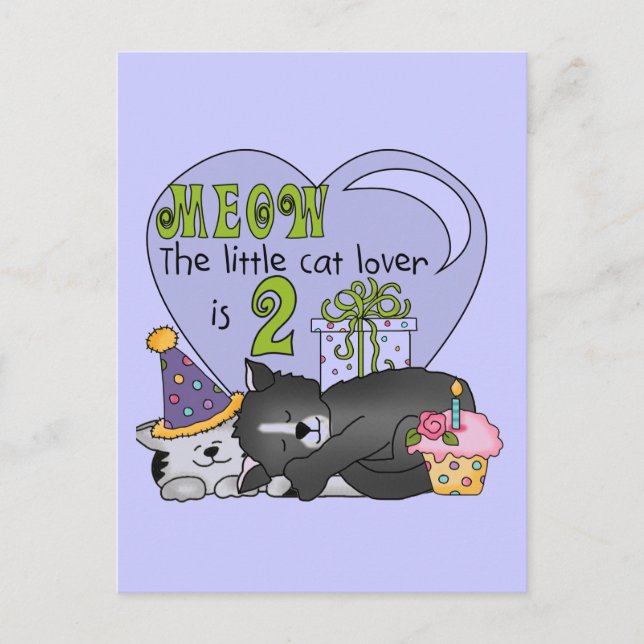 Cat Lover 2nd Birthday Tshirts and Gifts Postcard (Front)