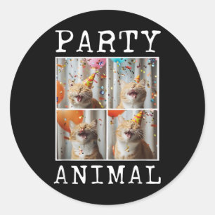 Cat Lover Animal Themed Happy Cat Birthday Classic Round Sticker