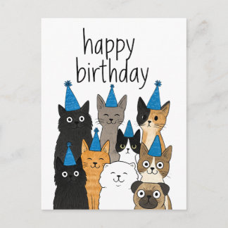 Cat Lover Cards - Cat Party Birthday Card