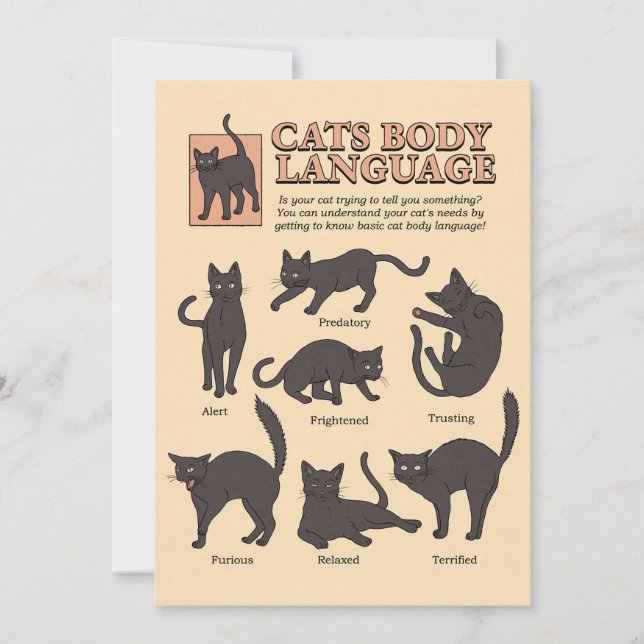 Cat Lover Cats Body Language Thank You Card (Front)