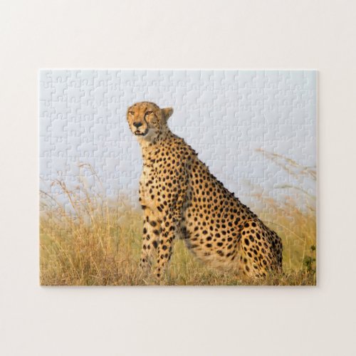 Cat lover cheetah photo jigsaw puzzle