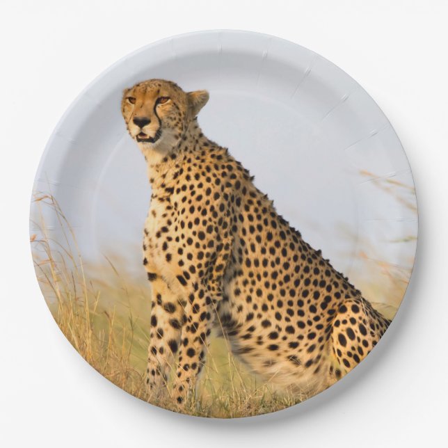 Cat lover cheetah photo paper plates (Front)
