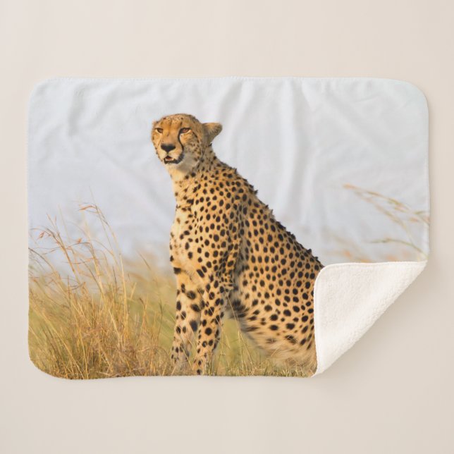 Cat lover cheetah photo sherpa blanket (Front (Horizontal))