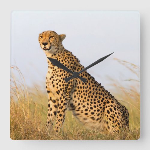 Cat lover cheetah photo square wall clock