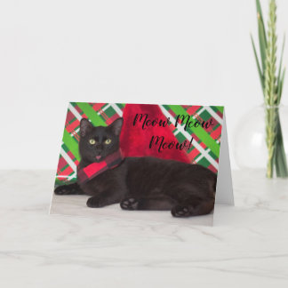 Cat lover Christmas card