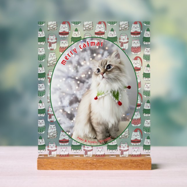Cat Lover Cute Festive Cat Photo Christmas Acrylic Sign (Neutral)
