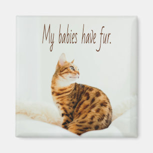 Cat Lover, Cute Kitten Meme, My babies have Fur Magnet