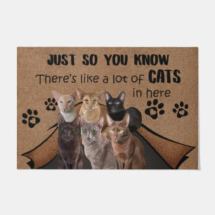 Cat Lover Doormat, Cat Welcome Mat, Funny Cat Gift Doormat