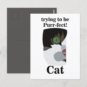 Cat Lover Funny Postcard