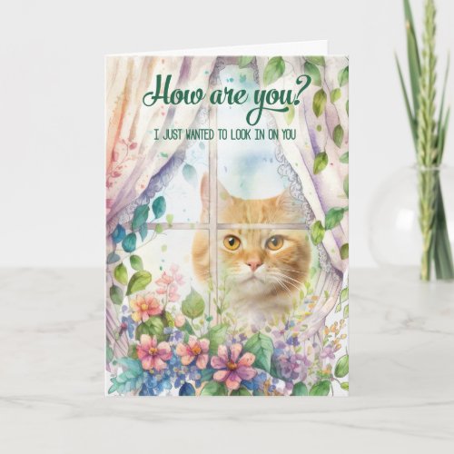 Cat Lover Garden Window Get Well Card